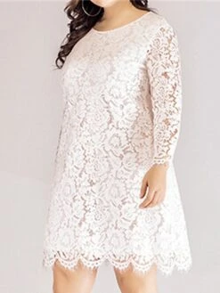 Women‘s Plus Size Curve Lace Dress Work Dress A Line Dress Solid Color Midi Dress Long Sleeve Lace Crew Neck Fashion Office Black White Spring Fall L XL XXL 3XL 4XL -Cheap Plus Fit Dress Store aaafpu1673001187698