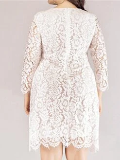 Women‘s Plus Size Curve Lace Dress Work Dress A Line Dress Solid Color Midi Dress Long Sleeve Lace Crew Neck Fashion Office Black White Spring Fall L XL XXL 3XL 4XL -Cheap Plus Fit Dress Store cxqzol1673001188539