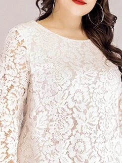 Women‘s Plus Size Curve Lace Dress Work Dress A Line Dress Solid Color Midi Dress Long Sleeve Lace Crew Neck Fashion Office Black White Spring Fall L XL XXL 3XL 4XL -Cheap Plus Fit Dress Store fgbxan1673001191439
