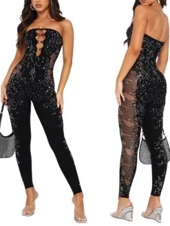 Women's Jumpsuit Mesh Backless Solid Color V Neck Streetwear Street Daily Regular Fit Sleeveless Black S M L Fall