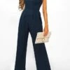 Women's Jumpsuit Solid Color V Neck Elegant Daily Vacation Straight Regular Fit Sleeveless Navy Blue S M L Spring