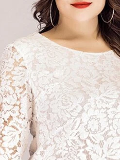 Women‘s Plus Size Curve Lace Dress Work Dress A Line Dress Solid Color Midi Dress Long Sleeve Lace Crew Neck Fashion Office Black White Spring Fall L XL XXL 3XL 4XL -Cheap Plus Fit Dress Store huuqce1673001192371