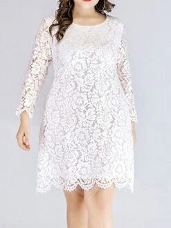 Women‘s Plus Size Curve Lace Dress Work Dress A Line Dress Solid Color Midi Dress Long Sleeve Lace Crew Neck Fashion Office Black White Spring Fall L XL XXL 3XL 4XL -Cheap Plus Fit Dress Store jtxooo1673001186050