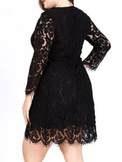 Women‘s Plus Size Curve Lace Dress Work Dress A Line Dress Solid Color Midi Dress Long Sleeve Lace Crew Neck Fashion Office Black White Spring Fall L XL XXL 3XL 4XL -Cheap Plus Fit Dress Store mgrvrr1691460713392