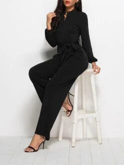 Women's Jumpsuit Lace Up Pocket Solid Color Stand Collar Streetwear Xmas Street Christmas Daily Regular Fit Long Sleeve Black Wine Red S M L Fall 25 Women's Jumpsuit Lace Up Pocket Solid Color Stand Collar Streetwear Xmas Street Christmas Daily Regular Fit Long Sleeve Black Wine Red S M L Fall -Cheap Plus Fit Dress Store mlmwjt1692616041418