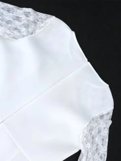 Women's Plus Size Curve Party Dress Lace Dress Bodycon Plain Midi Dress Long Sleeve Lace Bow Crew Neck Fashion Party White Fall Winter XL XXL 3XL 4XL -Cheap Plus Fit Dress Store njgpwc1694165780268