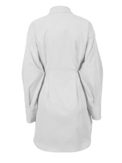 Women's Shirt Dress Casual Dress Mini Dress Outdoor Daily Date Polyester Fashion Basic Shirt Collar Button Long Sleeve Fall Winter 2023 Regular Fit Black White Brown Pure Color S M L -Cheap Plus Fit Dress Store qsxwiy1695644834208