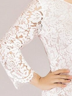 Women‘s Plus Size Curve Lace Dress Work Dress A Line Dress Solid Color Midi Dress Long Sleeve Lace Crew Neck Fashion Office Black White Spring Fall L XL XXL 3XL 4XL -Cheap Plus Fit Dress Store qymgyh1673001189437
