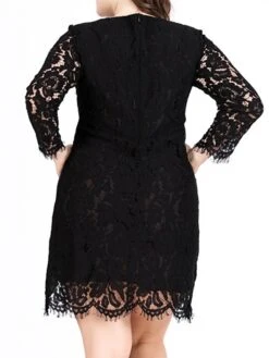Women‘s Plus Size Curve Lace Dress Work Dress A Line Dress Solid Color Midi Dress Long Sleeve Lace Crew Neck Fashion Office Black White Spring Fall L XL XXL 3XL 4XL -Cheap Plus Fit Dress Store uamecg1691460717931