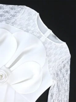 Women's Plus Size Curve Party Dress Lace Dress Bodycon Plain Midi Dress Long Sleeve Lace Bow Crew Neck Fashion Party White Fall Winter XL XXL 3XL 4XL -Cheap Plus Fit Dress Store vasvjd1694165774877