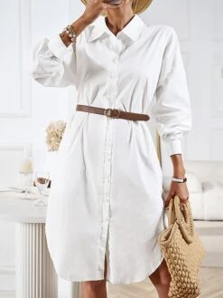 Women's Casual Dress Work Dress Shift Dress Mini Dress Outdoor Office Business Cotton Classic Modern Shirt Collar Button Pocket Long Sleeve Summer Spring Fall 2023 Loose Fit Black White Blue Pure