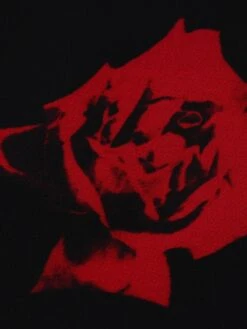 Women‘s Plus Size Curve Holiday Dress Floral V Neck Print Half Sleeve Fall Winter Casual Midi Dress Daily Dress 10 Women‘s Plus Size Curve Holiday Dress Floral V Neck Print Half Sleeve Fall Winter Casual Midi Dress Daily Dress -Cheap Plus Fit Dress Store vqejvk1631262757839