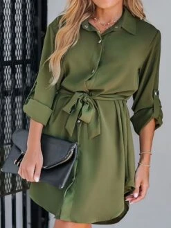 Women's Shirt Dress Casual Dress Mini Dress Outdoor Daily Polyester Basic Classic Shirt Collar Lace Up Button Long Sleeve Spring Fall Winter 2023 Loose Fit Green Pure Color S M L XL